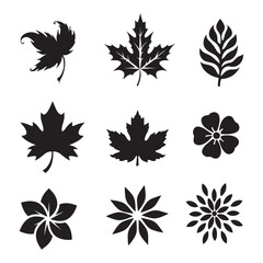 Set of leaf silhouettes. the leaves in black in vector