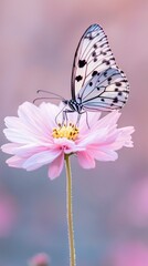 Obraz premium Butterfly landing on pink flower nature scene floral environment close-up view natural beauty