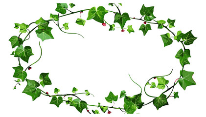 Vector Heart-Shaped Leaves Oval Vine Frame, Floral Decorative Border, Botanical Illustration, Wedding Card Frame, Nature-Inspired Artwork, Elegant Wreath Design