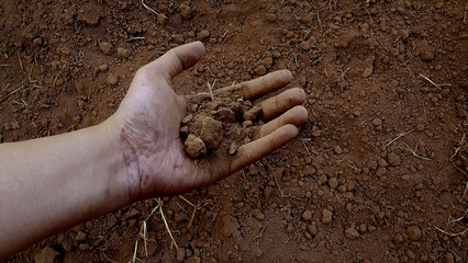 Top view of hand holding brown soil pattern background. Farmer cultivation scene. Agriculture or...
