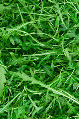 Fresh leaves of arugula as background.