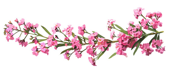 Vector Pink Statice Flowers, sprig design, spring bouquet, nature art, colorful floral, botanical decoration, pink florals, vibrant flowers, vector art, nature illustration.