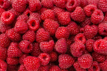 Tasty fresh raspberry as a background.