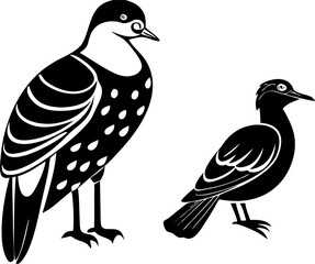bird illustration bird silhouette