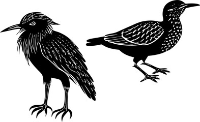 bird illustration bird silhouette