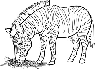 Black and White Line Art: A Zebra Grazing on Grass, Ideal for Coloring Activities and Educational Use
