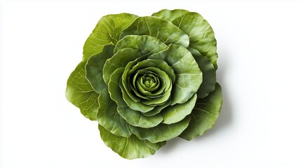 Fototapeta premium Fresh green lettuce arranged in a delicate rose shape against a white background, highlighting the beauty of natural textures and organic patterns in a minimalist composition