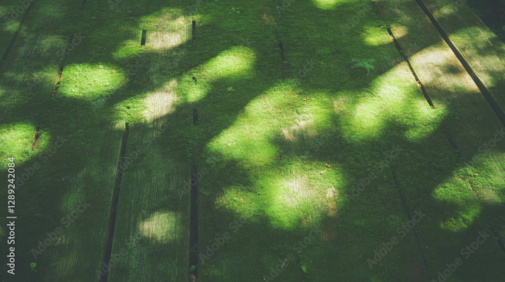 Aufkleber rustic wooden texture with moss and shadows for natural background design