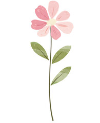 Fototapeta premium Cute Pink Flower Stem Green Leaves Isolated White Background Vector
