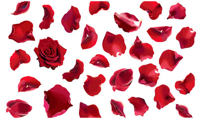 Vector Red Rose Petals Scattered, Floral Petal Background, Romantic Falling Petals, Isolated Rose Petals, Wedding Design, Elegant Flower Petals, Love Symbol, Decorative Red Petals