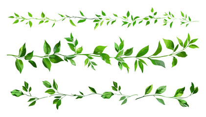Obraz premium Vector set of green twig, isolated plant branch, botanical leaves, natural foliage, organic design, eco-friendly clipart, nature elements, decorative greenery, hand-drawn flora