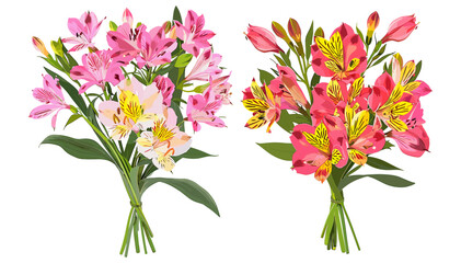 Summer season flowers bouquet with Alstroemeria, vector illustration, isolated on transparent background, floral design, exotic petals, garden blossoms, elegant flora