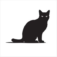 Obraz premium black cat silhouette