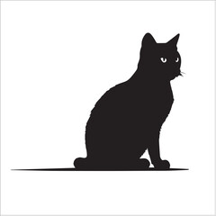 black cat on a white background