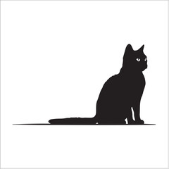 black cat on the roof