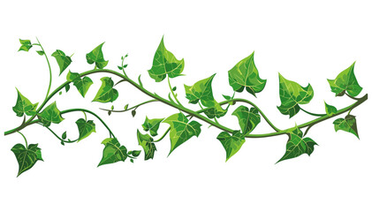 Twisting Vine with Green Leaves Vector, Botanical Artwork, Lush Foliage, Elegant Nature, Climbing Plant, Decorative Vine, Ivy Tendrils, Flourishing Branch, Leafy Ornament, Tropical Style © aura studio