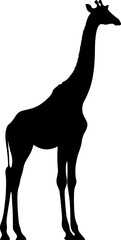 giraffe illustration silhouette
