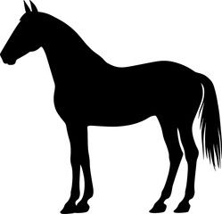 horse illustration silhouette