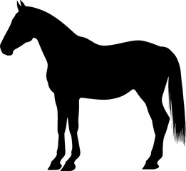 horse illustration silhouette