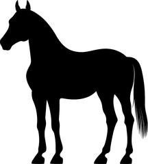 horse illustration silhouette
