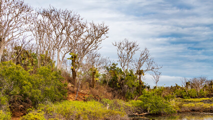 Tierwelten und Landschaften der Galapagos Inseln