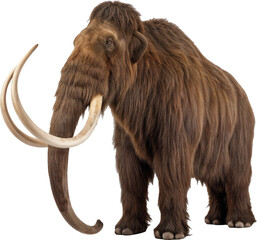 Mighty Mammoth Stands Tall