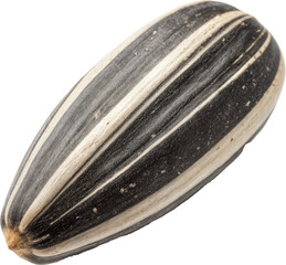 Delightful Sunflower Seed