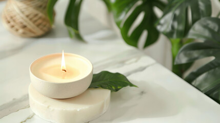 burning wax candle and monstera leaf
