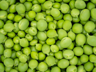 macro close-up of fresh organic green peas - food and agriculture concept