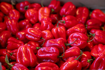 Fresh red habanero peppers with a glossy surface on display at a local market. Perfect for food...