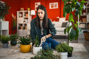 woman sit on floor do gardening and growing small plants and trees