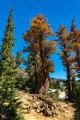 Thermalwelten im Lassen Volcanic Nationalpark