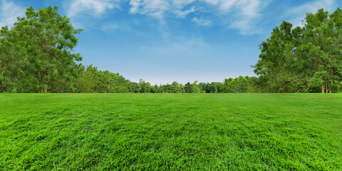Green grassland field and blurred trees background on blue sky clouds, Panorama outdoor landscape garden, Treeline natural empty space view.