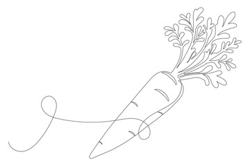 Carrot in one continuous line drawing of carrot vector illustration © Design LL