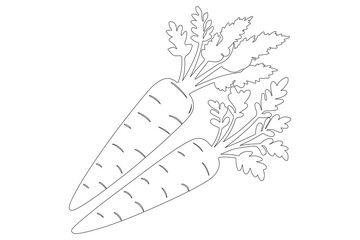 Carrot in one continuous line drawing of carrot vector illustration