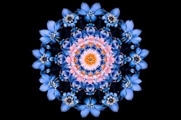 Mandala made of blue flowers on a black background