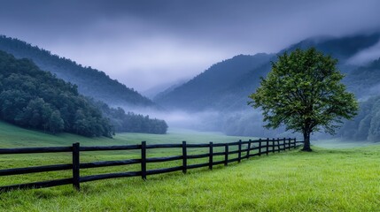Fototapeta premium Misty mountain valley, lone tree, green pasture, wooden fence
