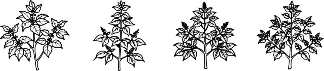 A Set of Line art of branch of a tree and flower vector illustration