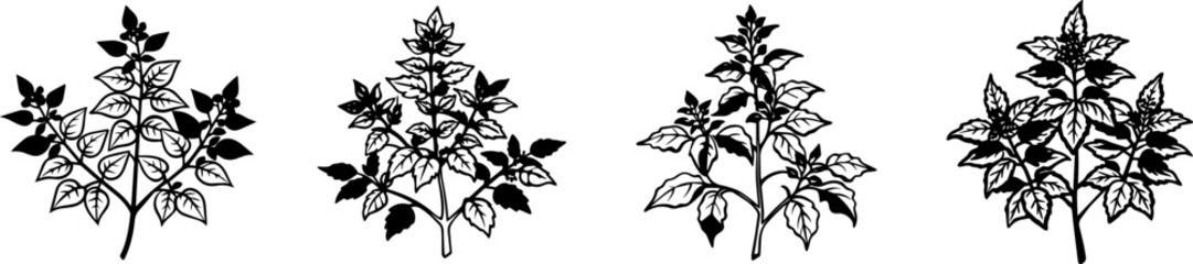 A Set of Line art of branch of a tree and flower vector illustration