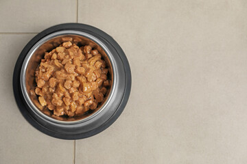 Wet pet food in feeding bowl on floor, top view. Space for text