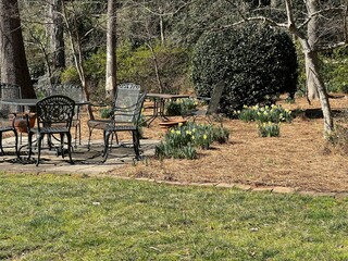 Serene park setting in late winter early spring