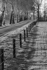 Erste Frühlingssonne im Münsterland