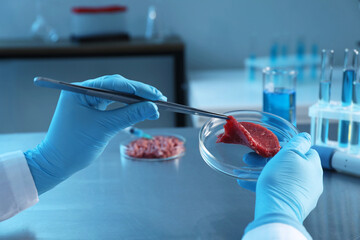 GMO concept. Scientist with piece of meat at table in laboratory, closeup