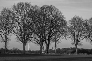 Naklejka premium Erste Frühlingssonne im Münsterland