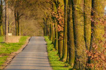 Erste Frühlingssonne im Münsterland
