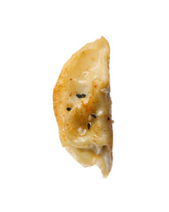 One fried gyoza dumpling isolated on white