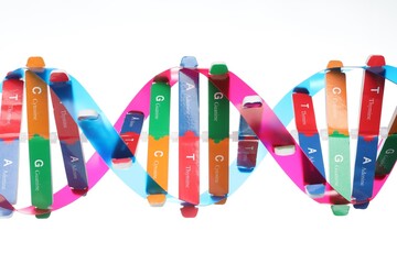 Colorful DNA structure model on white background