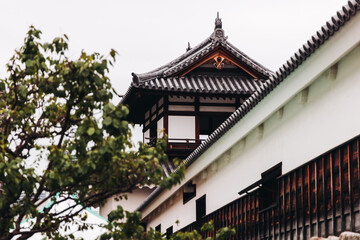 Hiroshima Castle, Hiroshima city, Carp Castle, Japan, autumn fall landscape vibrant view and momiji foliage, building, Hiroshima prefecture, travel to Japan
