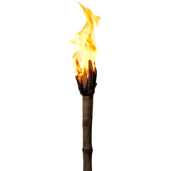 Torch Flame Isolated on Transparent Background