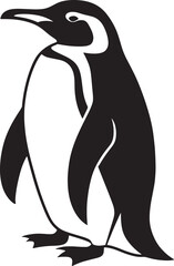 two penguins on the rock